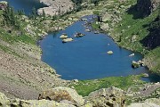 Al Lago Rotondo di Trona e sul Pizzo Paradiso, solo in compagnia degli stambecchi l’8 luglio 2019- FOTOGALLERY